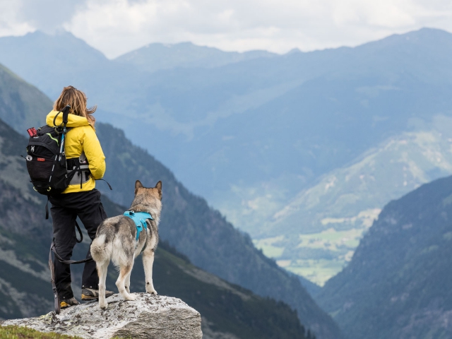 Hondenfotografie, Dog Walk Trail Oostenrijk